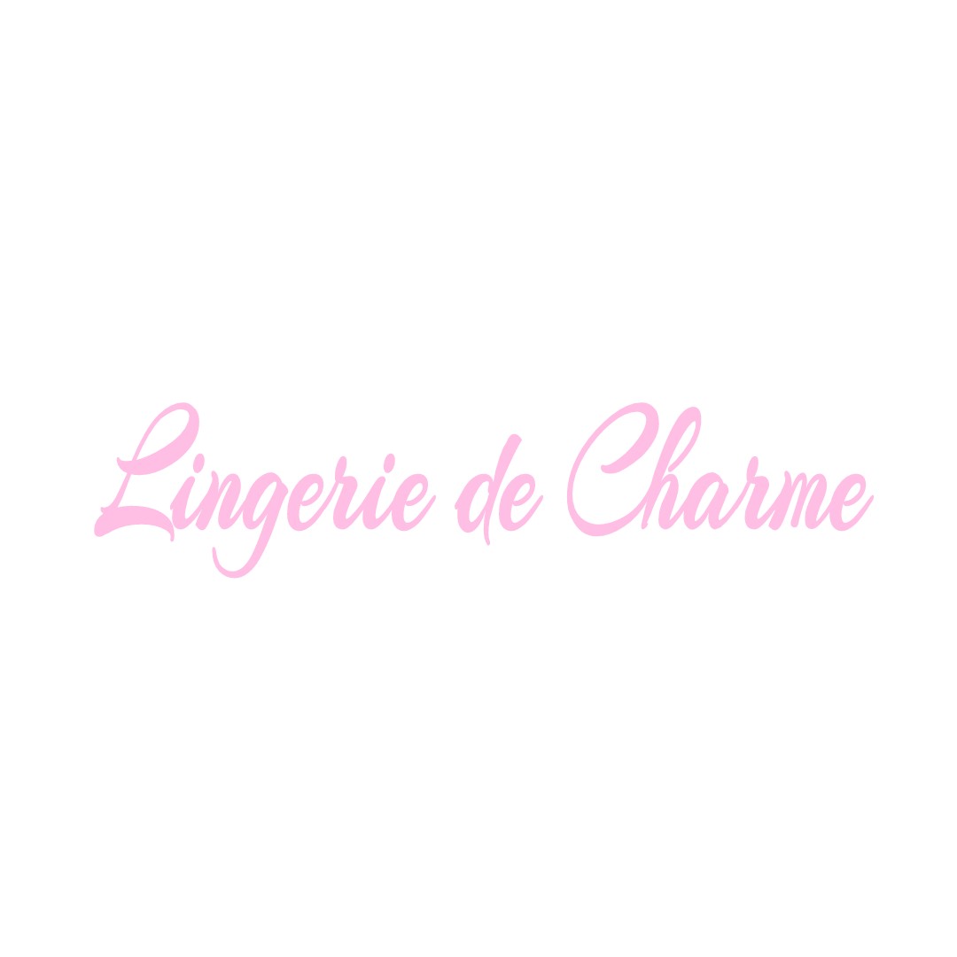 LINGERIE DE CHARME LA-FERTE-GAUCHER